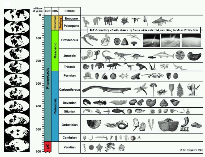 Fossil Chart